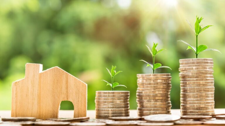 Real estate investment and constant growth in its value