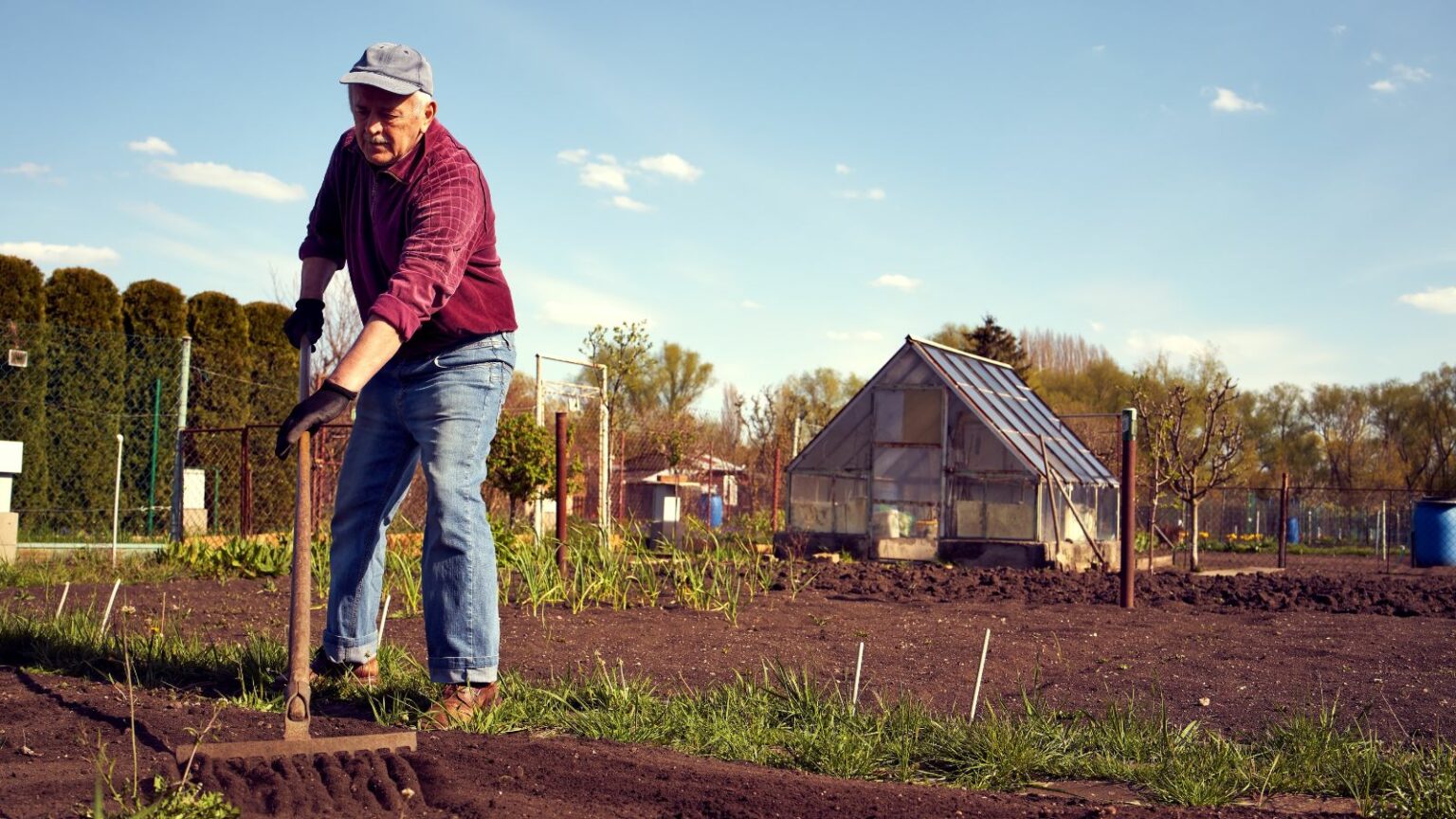 Photo inspiration: Fresh Look at 20 Reasons Why Families Are Choosing Rural Life Over Big