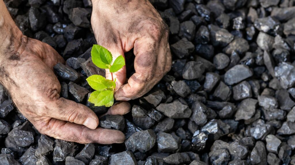 Toronto Critical-Minerals Supplier Neo Triples Adjusted EBITDA to US$57 Million