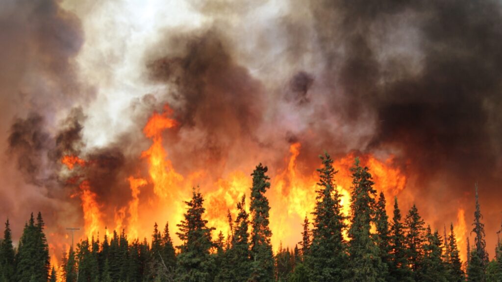 Canadian Tire Puts $200,000 Into Wildfire Relief as Evacuations Intensify Across Canada