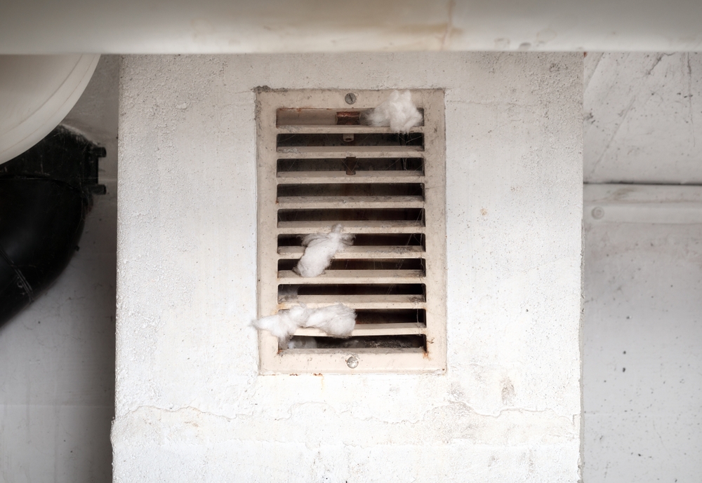 Clean Dryer Vents