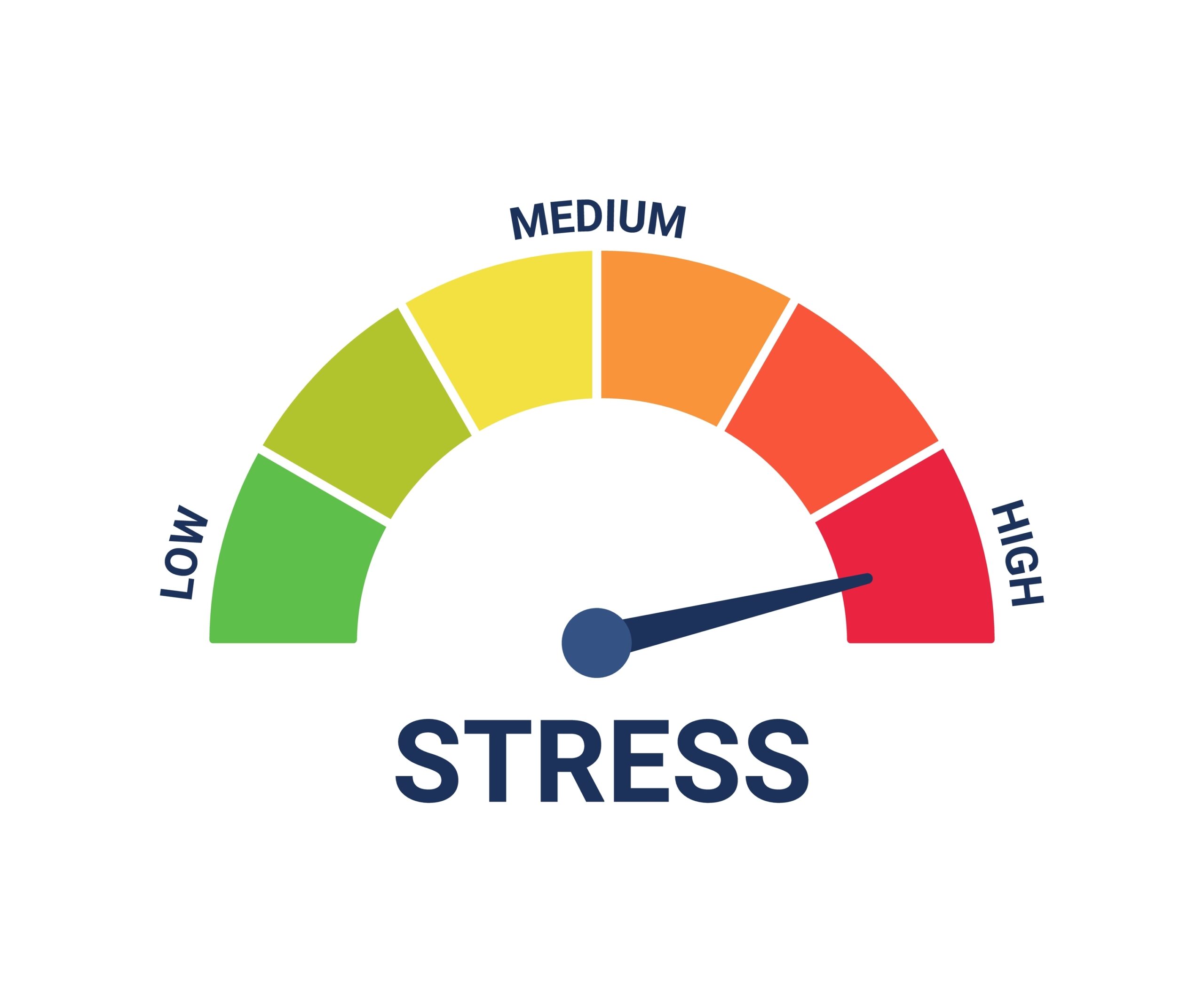 They Cannot Explain the Stress Test Clearly