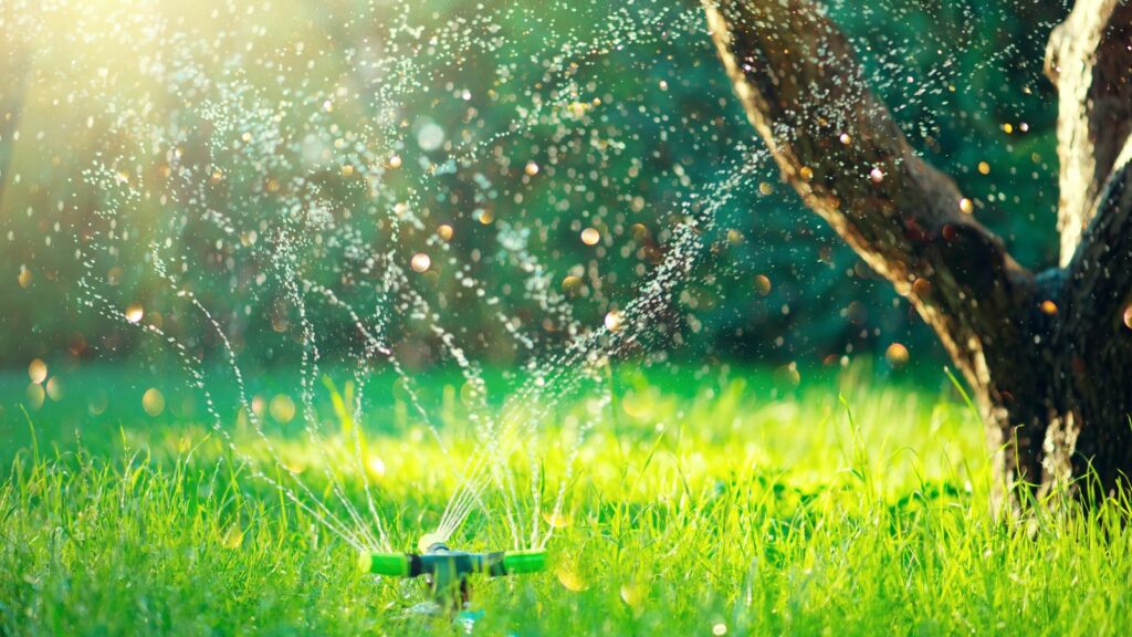 17 Backyard Expenses Canadians Underestimate Every Summer