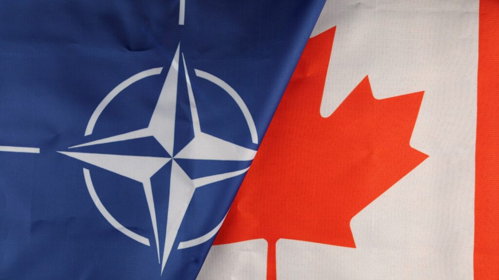 Liberals Back Conservative Push for Security-Screening Hearings After NATO Espionage Arrest